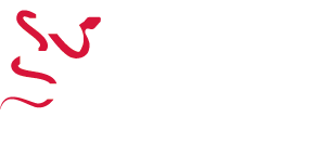 Bulek Contabilidade | logo Bulek